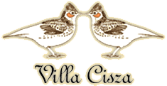 Pensjonat - Villa Cisza